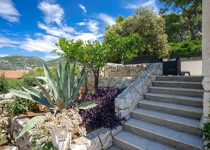 Rinada - Zf Hvar Hvar Town