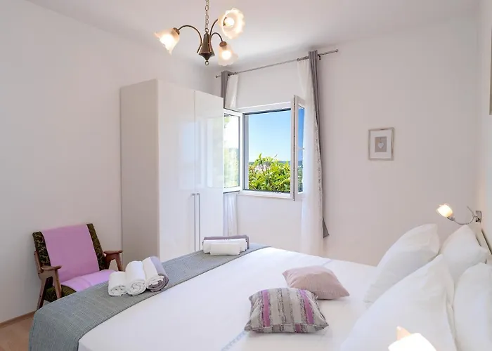 Rinada - Zf Hvar * フヴァル