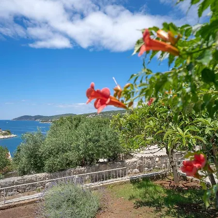 Rinada - Zf Hvar Apartmán Hvar Town